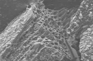 Image 1: Electron imaging of Activated-char Showing pores Image 1: Electron imaging of Activated-char Showing pores