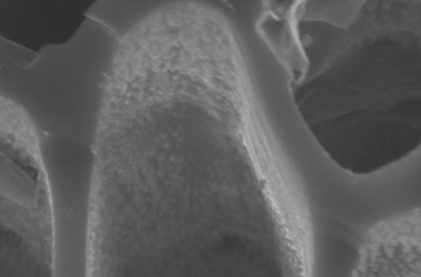Image 3: Zoom in image on singular pore area Image 3: Zoom in image on singular pore area